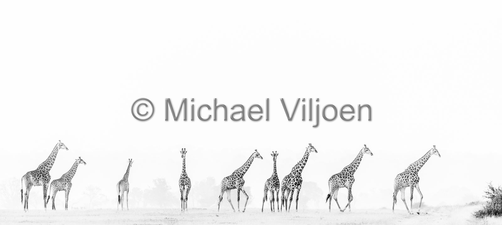 Black and White Photography